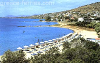 Marathonas Strand Aegina saronische Inseln griechischen Inseln Griechenland