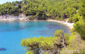 Xrysi Milia Strand Alonissos sporadische Inseln griechischen Inseln Griechenland