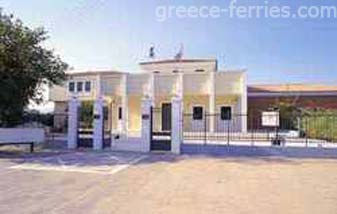 Museo Archeologico Lesvos Egeo Orientale Isole Greche Grecia