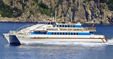 Aegean Cat