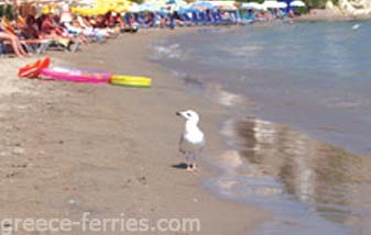 Agia Marina Strand Aegina saronische Inseln griechischen Inseln Griechenland