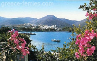 L’île d'Amorgos des Cyclades Grèce