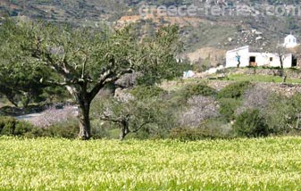 Arkasa Karpathos - Dodecaneso - Isole Greche - Grecia