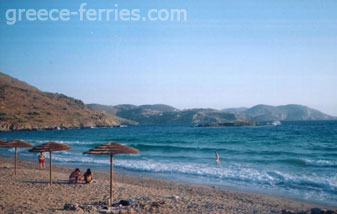 Delfini Spiagga Syros - Cicladi - Isole Greche - Grecia