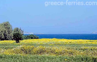 Mastichari Kos Dodécanèse Grèce