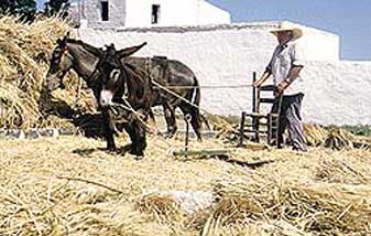 Historia para la isla de Sifnos en Ciclades, Islas Griegas, Grecia