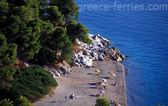 Kastani Strand Skopelos Eiland, Sporaden, Griekenland